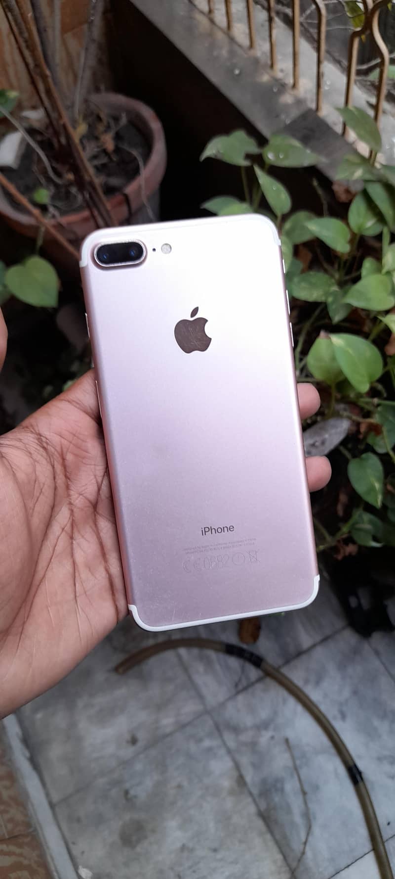 iphone 7plus pta 1