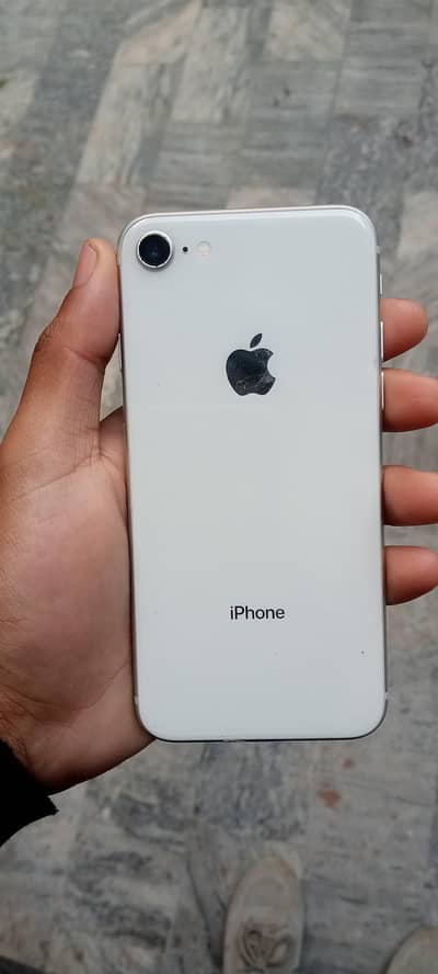 iphone 8 non pta 64gb 10 by 10 condition exchange only with x models
