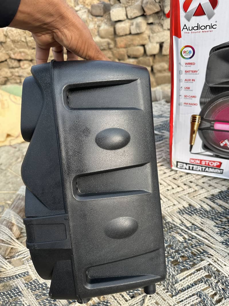 A Audionic® sound master 2