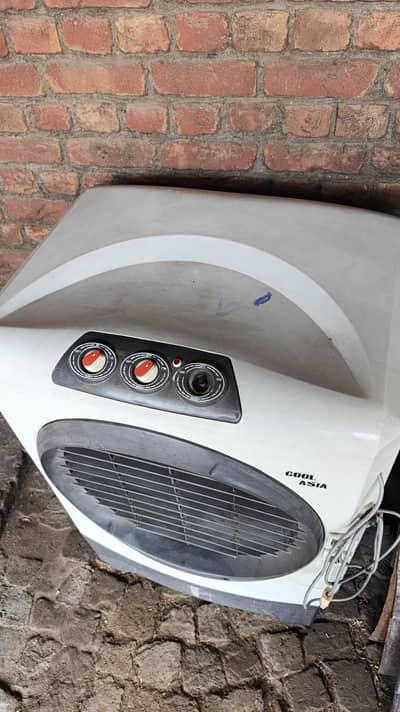 cool Asia plastic body cooler