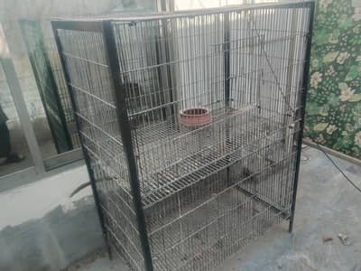 Birds Cage for Sale