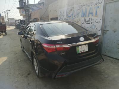 chat Pilar Digi bont jenon