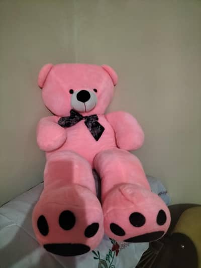 Teddy Bear  5 feet new