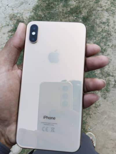 XS Max Golden colour