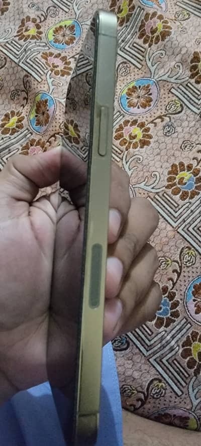 Iphone 12 pro max pta approved