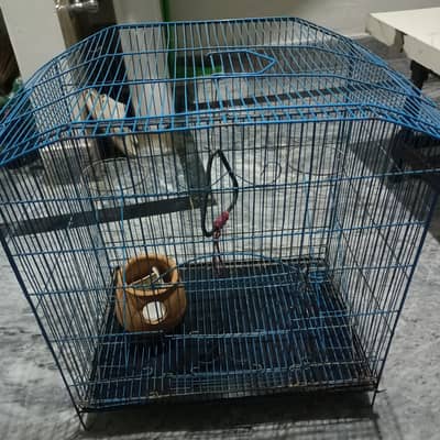 cage for parrots