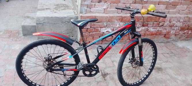 10/10 lash condition