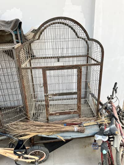 Parrot cages