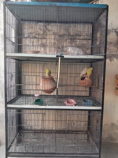 urgent sale my watshup number 03089227557