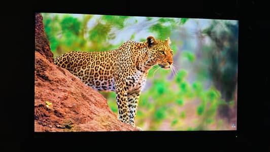 Lenovo 27-inch IPS Monitor (4k Ultra HD, 60Hz) - Excellent Condition