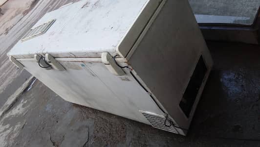 waves deep freezer double door