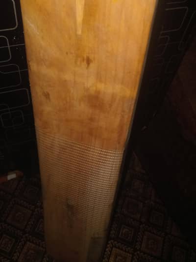 Cricket Bat