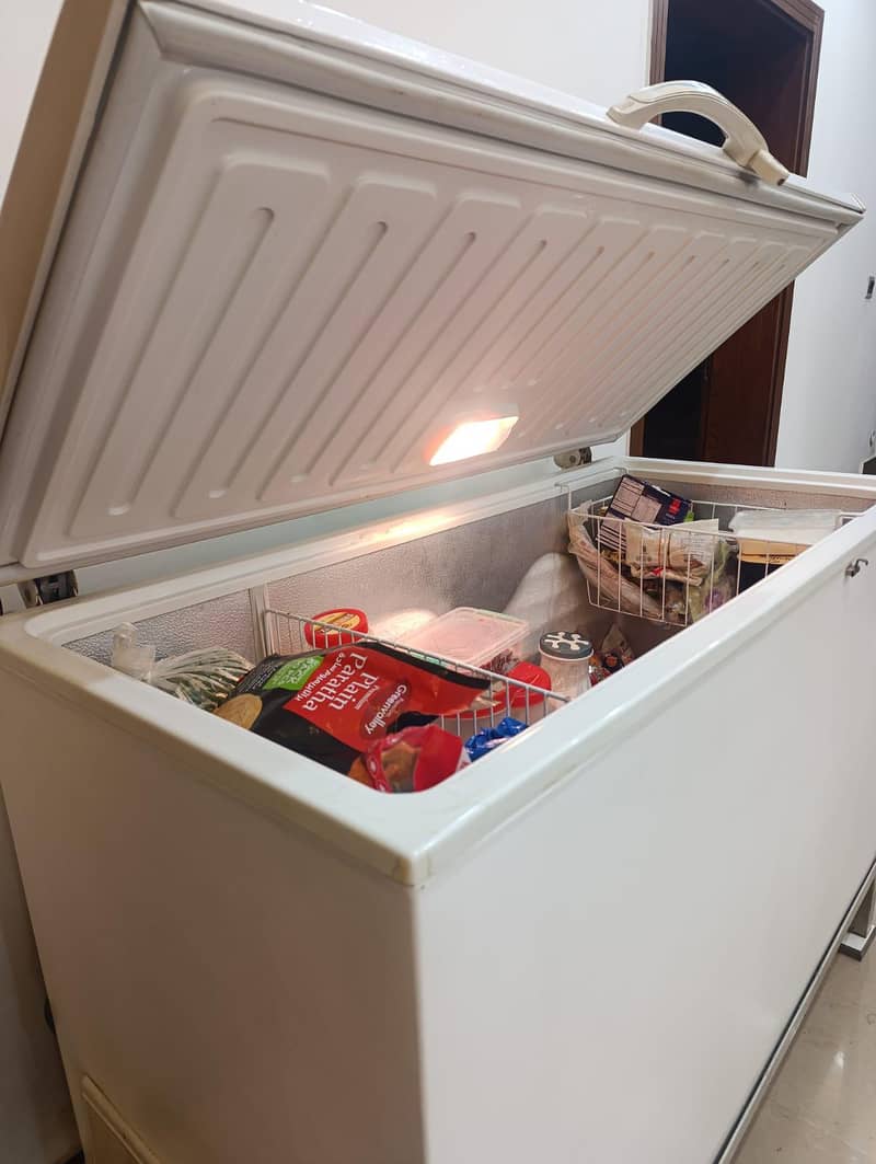 Deep Freezer Large 1