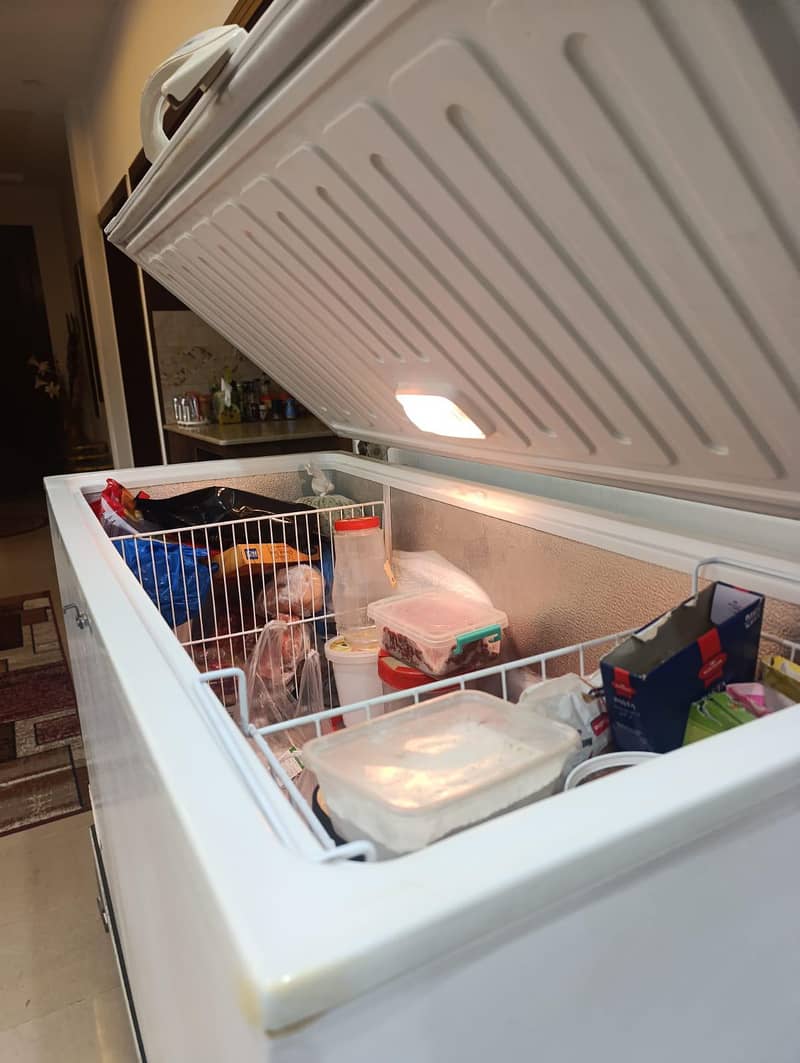 Deep Freezer Large 2