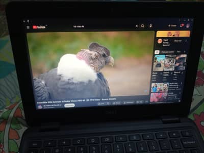 Dell Chromebook 3100 — For Sale