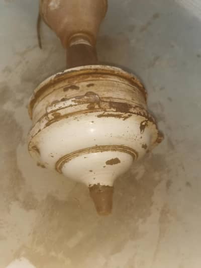 national fan antique