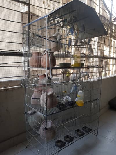 6 PORTION CAGE WITH BIRDS