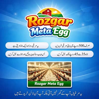 Meta Rozgar digital karobar