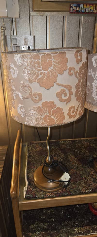 Pair of beautiful lamps