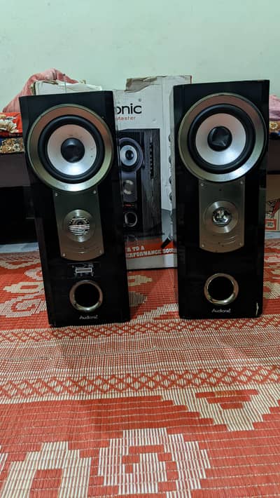 Audonic Large size speakers