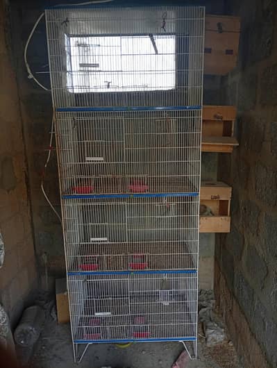 cage for love bird /pinjra