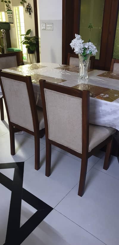 Dinning Chairs in solid wood
