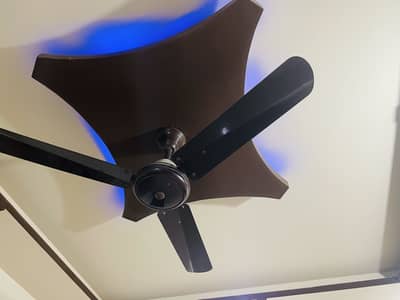 Gfc ceiling fan