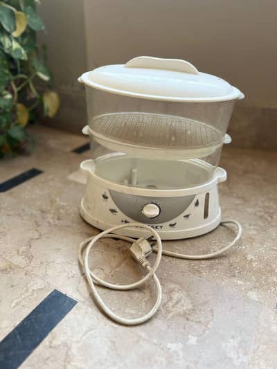 used in good condition steamer