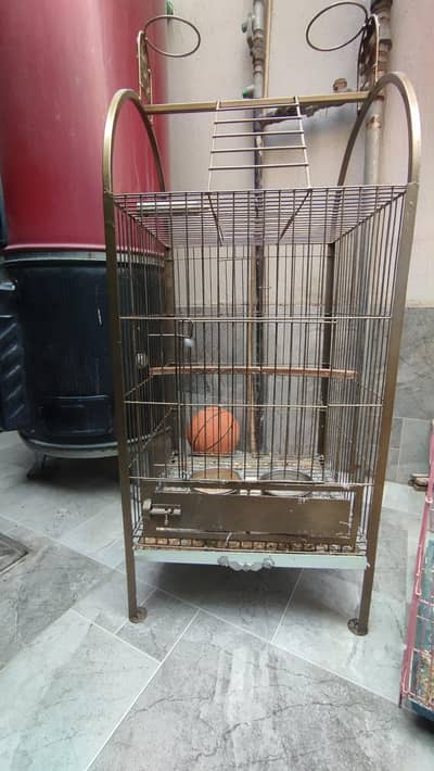 parrot cage