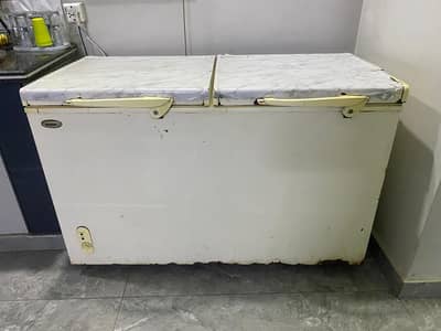 Urgent 2 door freezer sell
