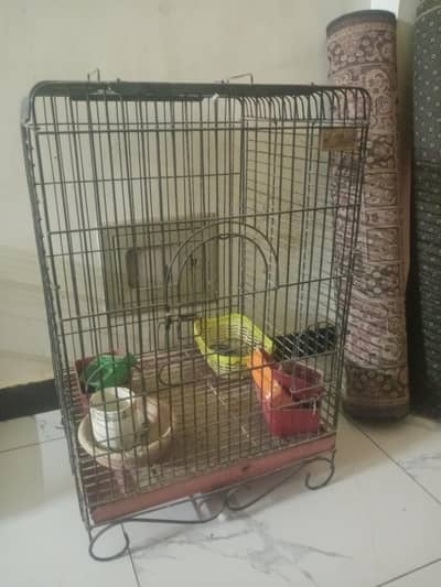 big parrot cage for sale
