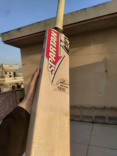hardball bat with spartan sikandar david warner stickers