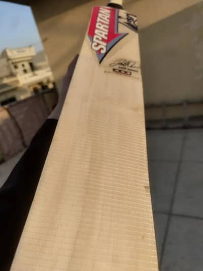 hardball bat with spartan sikandar david warner stickers