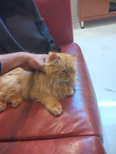 Arjun Manish helper jarurat hai