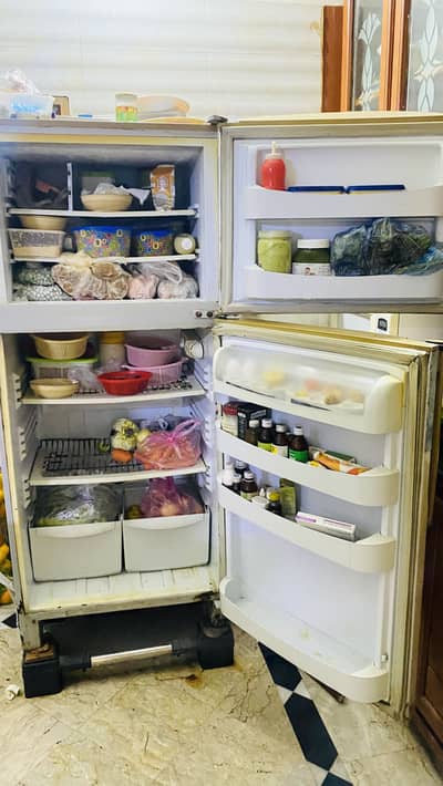 PEL full sized Fridge