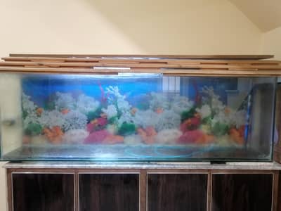 used Fish Aquarium