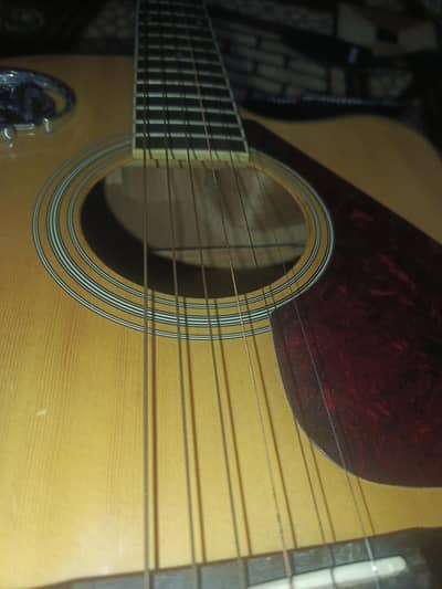 semi caustic guitar for sale