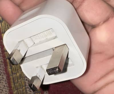 Apple original california Adopter