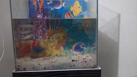 no problem neat and clean