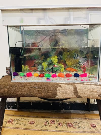 Fishing tank for sale