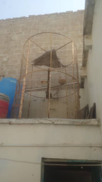 pinjra check condition