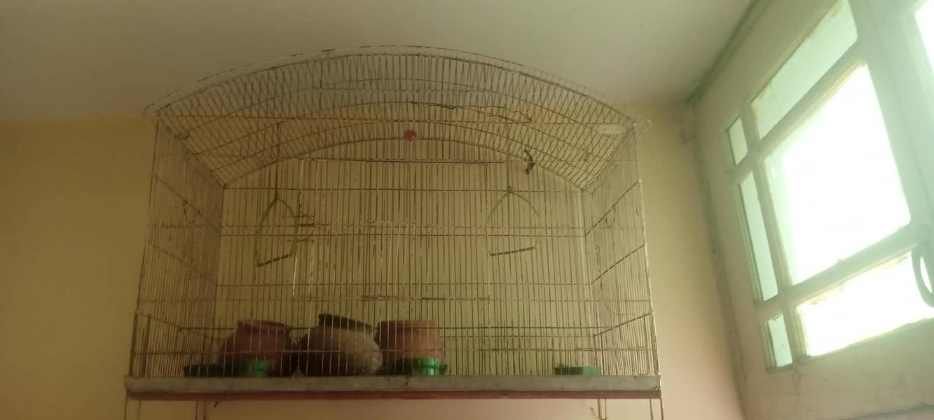 Cage Do 1