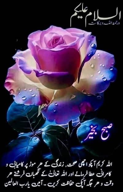 1 Kanal lower portion for Rent