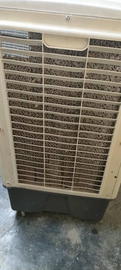 Super Asia full sized cooler