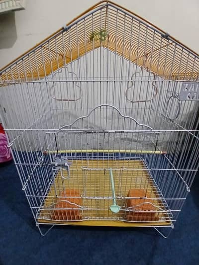 Bird cage For sale
