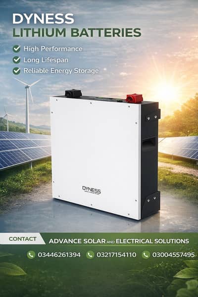 Dayness Lithium battery