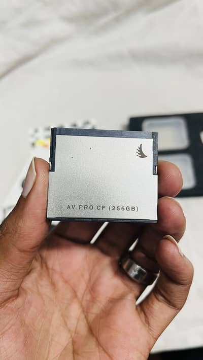 Angelbird AV PRO CF 256GB – CompactFlash Card