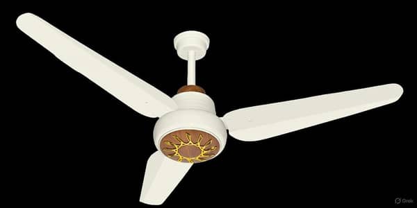 Leeds heaven AC/DC fan