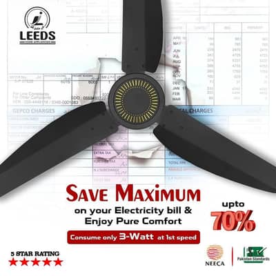 Leeds sparkle/crystal AC/DC fan