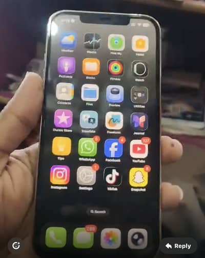 Apple iPhone 12 Pro Max